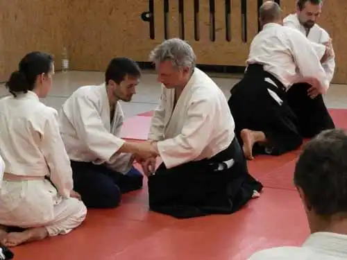 Aikido seminar in Berlin 2012.